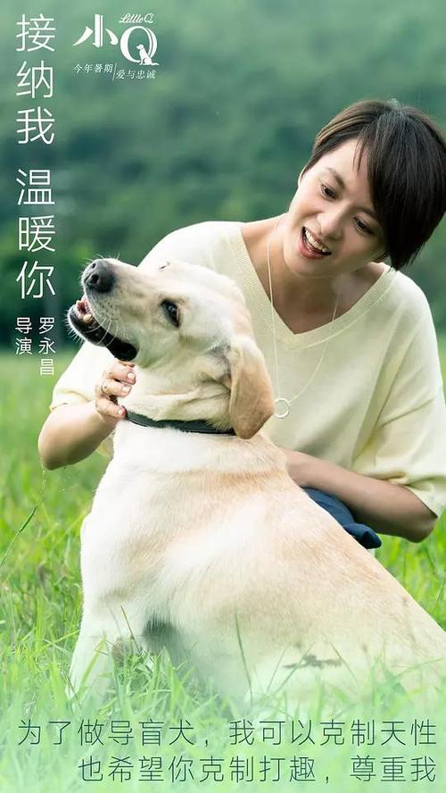 罗马生物医学自由大学商业管理文凭证书